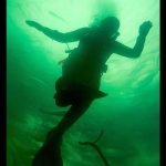 50 Años de Salmonicultura Chilena: Exposición Fotográfica Celebra su Historia