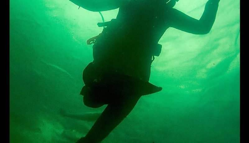 50 Años de Salmonicultura Chilena: Exposición Fotográfica Celebra su Historia 50 Años de Salmonicultura Chilena: Exposición Fotográfica Celebra su Historia