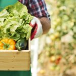 sustentabilidad-lactea-en-los-lagos-y-los-rios-indap-y-consorcio-lechero-fortalecen-alianzas