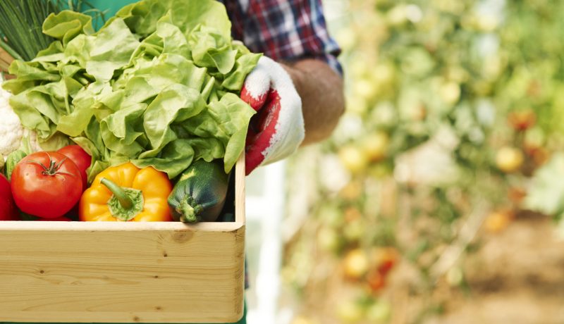 sustentabilidad-lactea-en-los-lagos-y-los-rios-indap-y-consorcio-lechero-fortalecen-alianzas