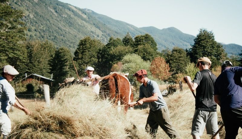 Puelo Patagonia busca voluntarios para apoyar a familias cordilleranas en Cochamó