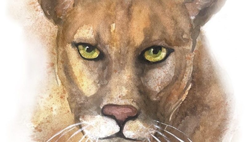 alejandra-doepking-y-su-obra-puma-reflexion-en-el-dia-internacional-del-felino