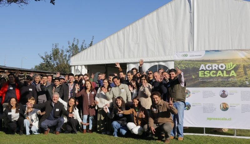Agro Escala 2026: Abren convocatoria para emprendedores del agro en Llanquihue