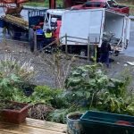 colision-frontal-en-carretera-austral-un-fallecido-en-hualaihue