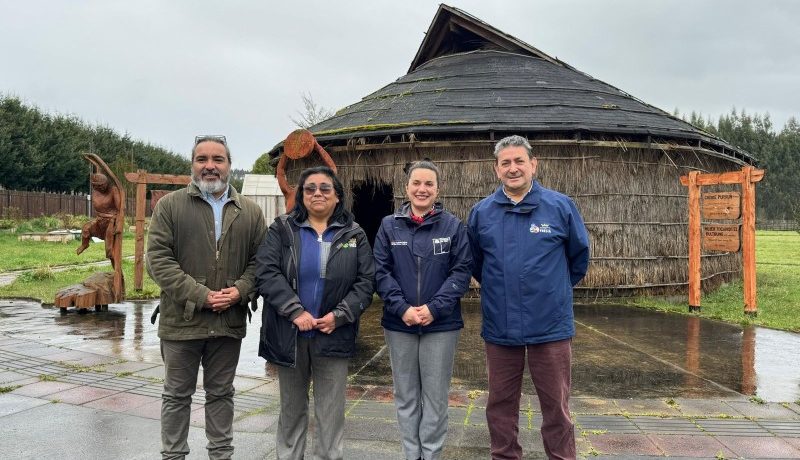 consulta-indigena-historica-en-fresia-por-tierras-mapuche-huilliche