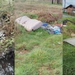 frutillar-basura-y-roedores-afectan-a-vecinos-de-nueva-nueve