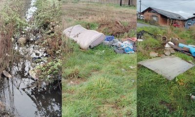 frutillar-basura-y-roedores-afectan-a-vecinos-de-nueva-nueve