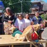 Dalcahue une bienestar animal y tradiciones en exitosa fiesta comunitaria