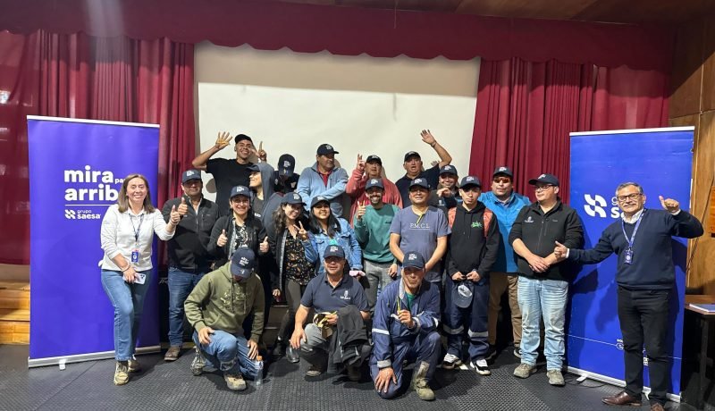 Saesa Refuerza Seguridad Eléctrica con "Mira para Arriba" en Los Lagos