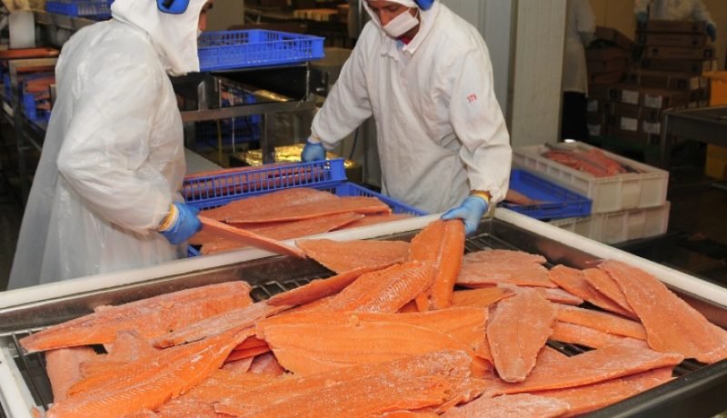 Exportaciones en Los Lagos: Más de US$5.100 Millones con Liderazgo Acuícola