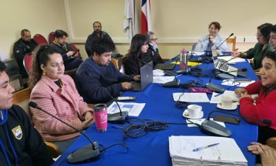 Dalcahue Impulsa el Bienestar Juvenil con Nuevo Programa Participativo