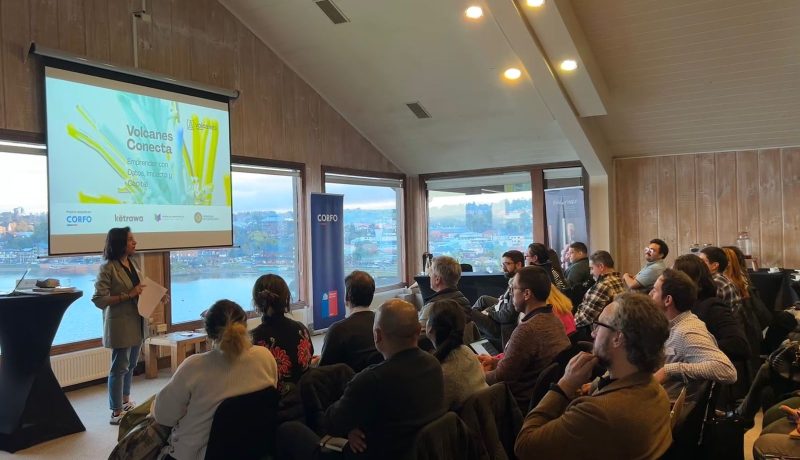 innovacion-del-sur-impulso-a-emprendedores-en-los-lagos