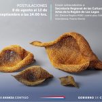 premios-regionales-arte-y-cultura-los-lagos-2025-convocatoria-abierta