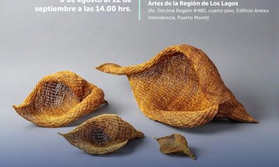 premios-regionales-arte-y-cultura-los-lagos-2025-convocatoria-abierta