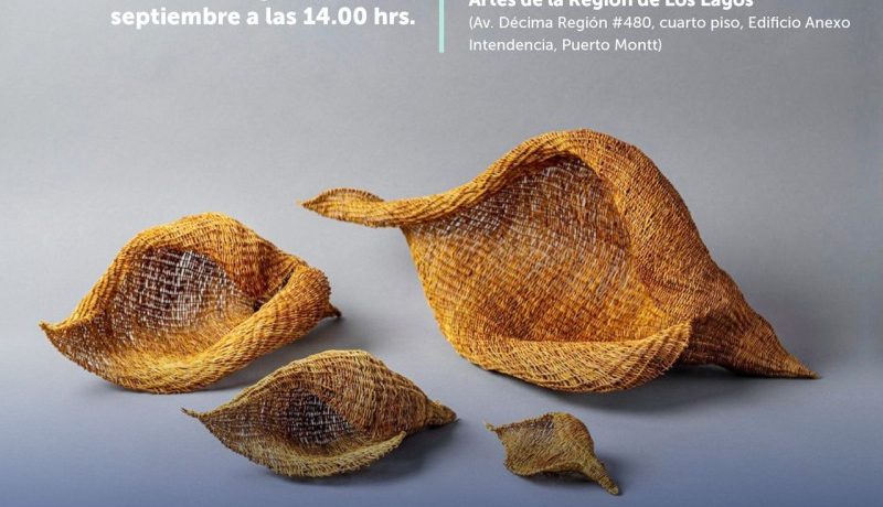 premios-regionales-arte-y-cultura-los-lagos-2025-convocatoria-abierta