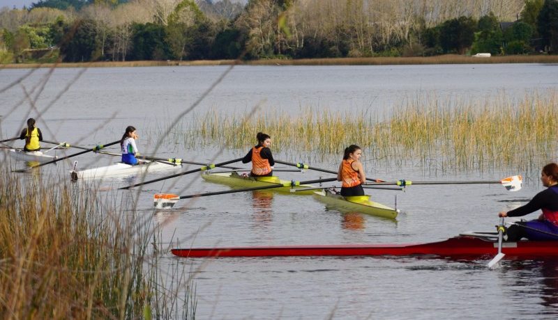 campeonato-binacional-de-remo-llega-a-llanquihue-con-200-atletas