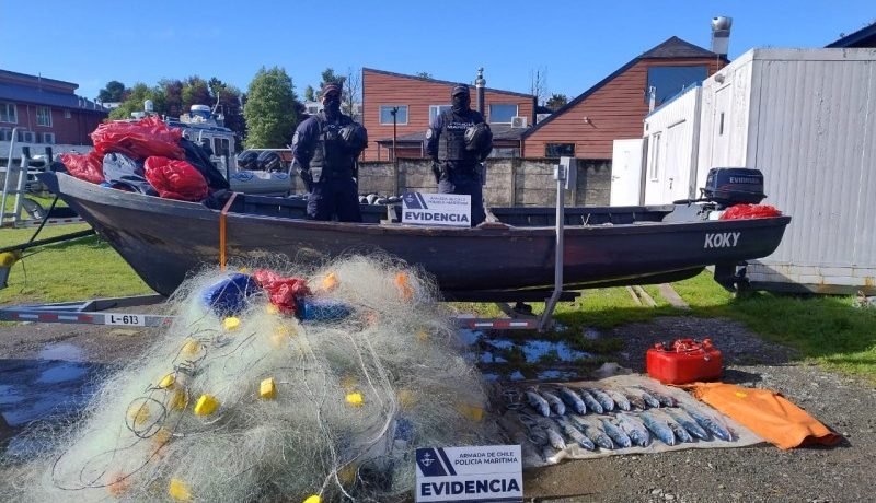 Fiscalización Marítima Detiene Pesca Ilegal de Salmón en Lago Llanquihue Fiscalización Marítima Detiene Pesca Ilegal de Salmón en Lago Llanquihue