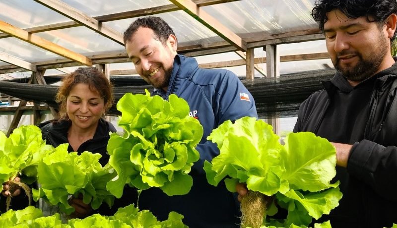 INDAP Impulsa Futuro Agrícola Joven en Región de Los Lagos