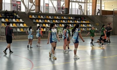 region-de-los-lagos-brilla-con-medallas-en-juegos-deportivos-escolares