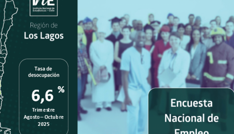 Desocupación en Los Lagos: Tasa Sube a 6,6% en Último Trimestre