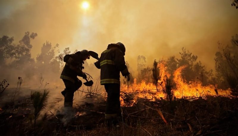 Brigadistas contarán con protección policial para combatir incendios forestales