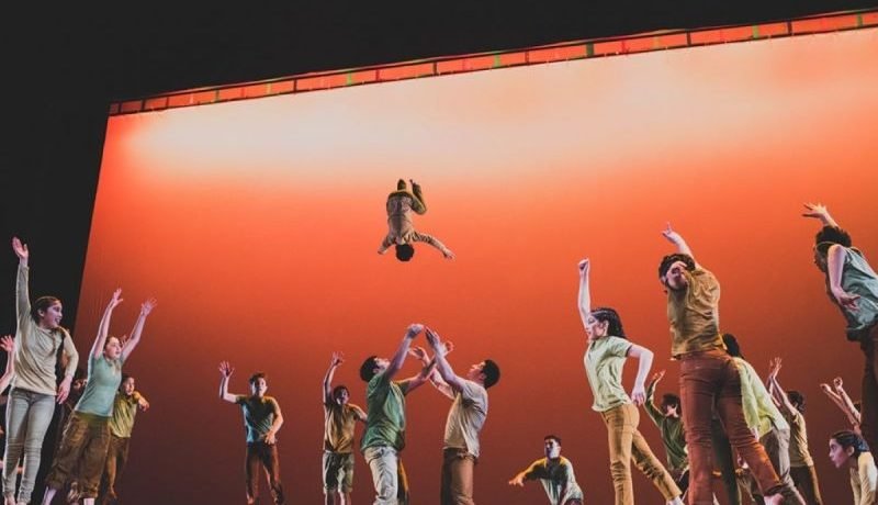 Circo Frutillar: 10 Años de Impacto Transformador en la Cultura Local