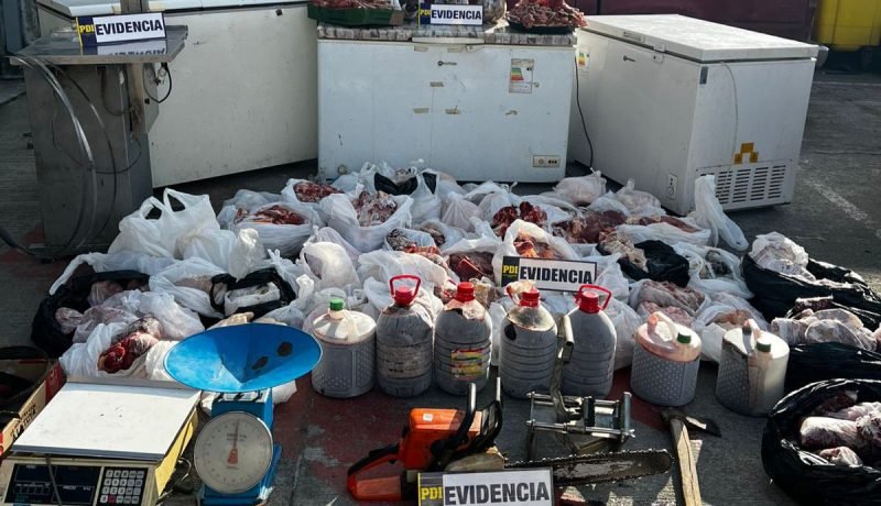 pdi-desarticula-banda-de-abigeato-en-osorno-con-incautacion-de-carne