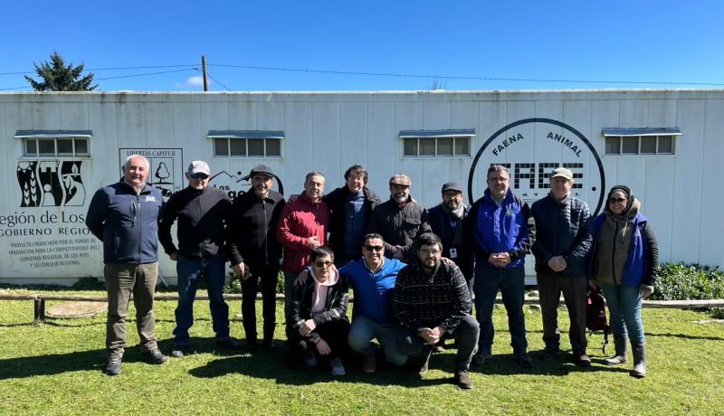core-los-lagos-evalua-replicar-plantas-de-faenamiento-ovino-de-los-rios-para-potenciar-agricultura-campesina
