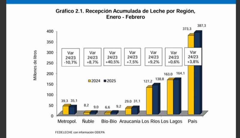 Producción de Leche Cruda en Chile: Los Lagos Lidera un Crecimiento del 8,1%