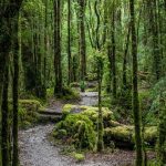 patagonia-ruta-de-parques-impulsa-turismo-y-conservacion-global
