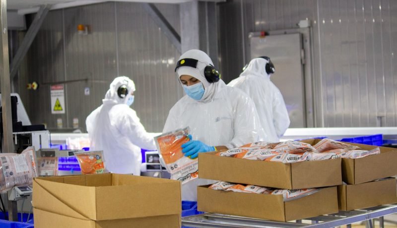 Salmones Camanchaca: Certificación Zero Waste Impulsa Sostenibilidad en el Sur de Chile