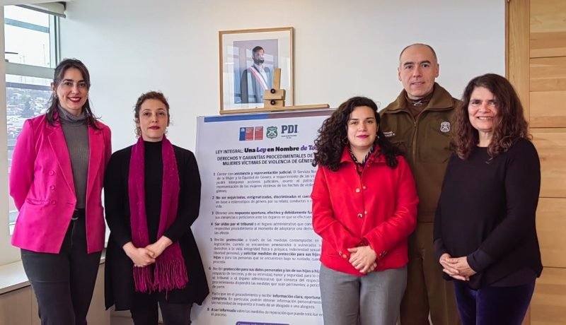 plan-18-seguro-en-los-lagos-medidas-contra-violencia-de-genero