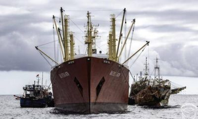 como-logro-peru-frenar-la-pesca-ilegal-china-que-ahora-preocupa-a-chile