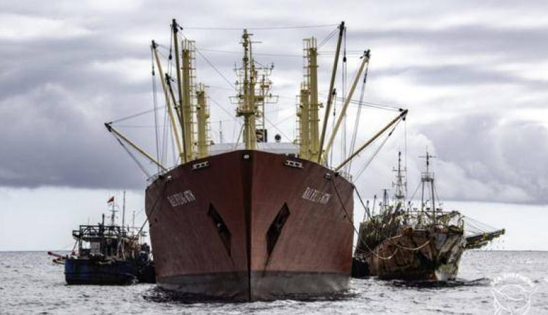 como-logro-peru-frenar-la-pesca-ilegal-china-que-ahora-preocupa-a-chile