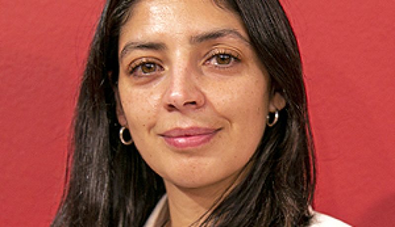exdelegada-de-los-lagos-enfrenta-demanda-por-maltrato-laboral-gritos-sobrecarga-y-tareas-fuera-de-funcion