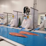 industria-acuicola-abre-multiples-vacantes-en-el-sur-de-chile-oportunidades-en-los-lagos-y-magallanes