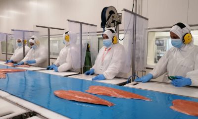 industria-acuicola-abre-multiples-vacantes-en-el-sur-de-chile-oportunidades-en-los-lagos-y-magallanes