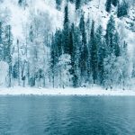 alerta-por-heladas-con-escarcha-en-chile-hasta-4-c-en-cinco-regiones-este-lunes-incluye-los-lagos