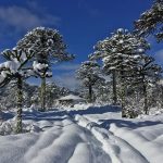 viajas-estas-vacaciones-asi-estara-el-tiempo-en-el-sur-de-chile-esta-semana