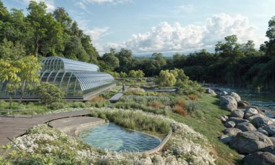 conoce-en-pucon-el-primer-parque-botanico-con-aguas-termales-del-pais