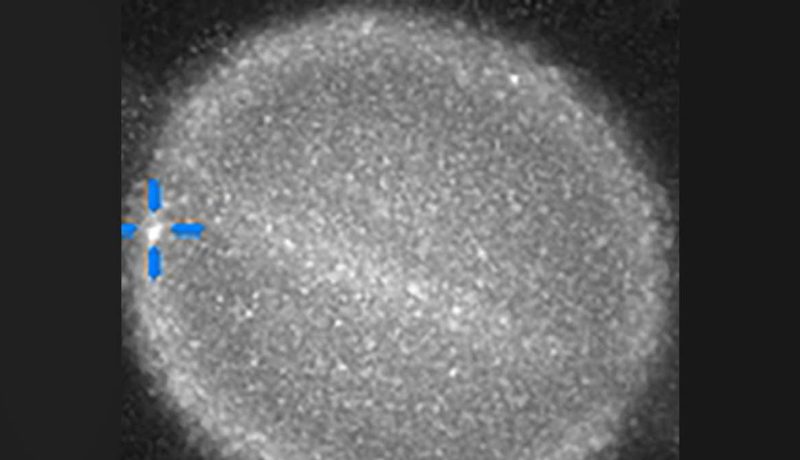 impacto-en-saturno-astronomo-amateur-registra-misterioso-destello-en-el-planeta-anillado