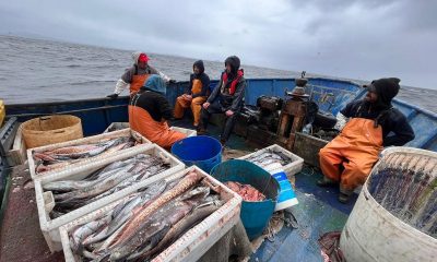 detectan-a-8-embarcaciones-de-los-lagos-operando-ilegalmente-en-aysen-durante-fiscalizacion-aerea-de-sernapesca