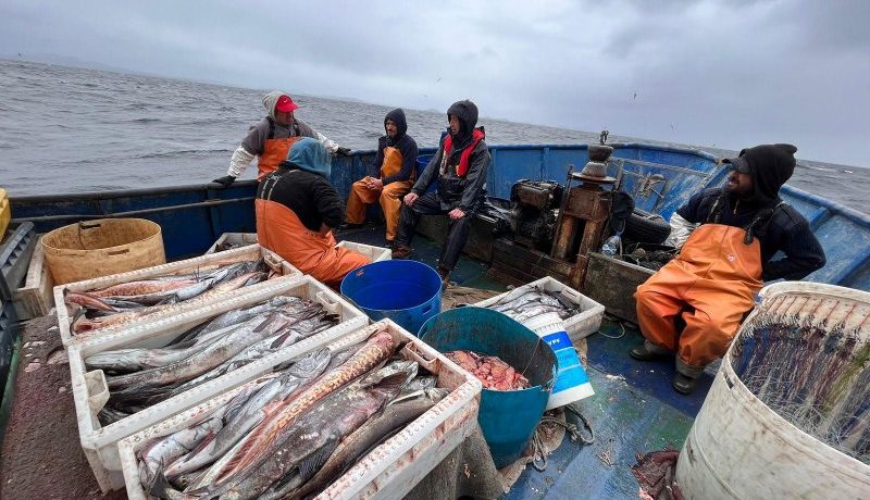 detectan-a-8-embarcaciones-de-los-lagos-operando-ilegalmente-en-aysen-durante-fiscalizacion-aerea-de-sernapesca