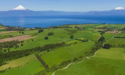 frutillar-invita-a-la-tertulia-entre-vinas-y-volcanes-nuevas-oportunidades-para-la-agricultura