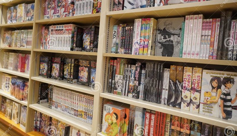 mangas-en-frutillar-la-biblioteca-municipal-amplia-su-coleccion-para-fans-del-anime-y-nuevos-lectores