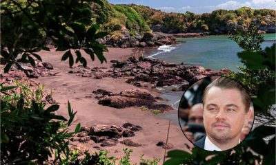 isla-guafo-vendida-por-us7-5-millones-polemica-por-compra-internacional-de-un-enclave-ecologico-chileno