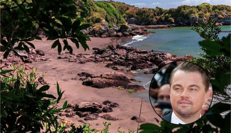 isla-guafo-vendida-por-us7-5-millones-polemica-por-compra-internacional-de-un-enclave-ecologico-chileno