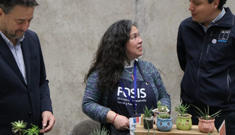 fosis-microcreditos-para-emprendedores-chilenos