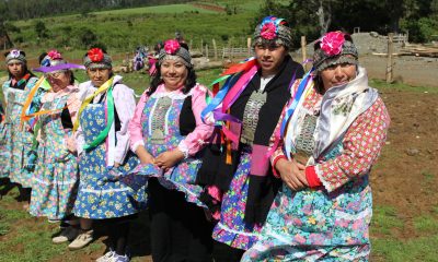 consulta-indigena-en-los-lagos-nuevo-sistema-de-tierras-mapuches