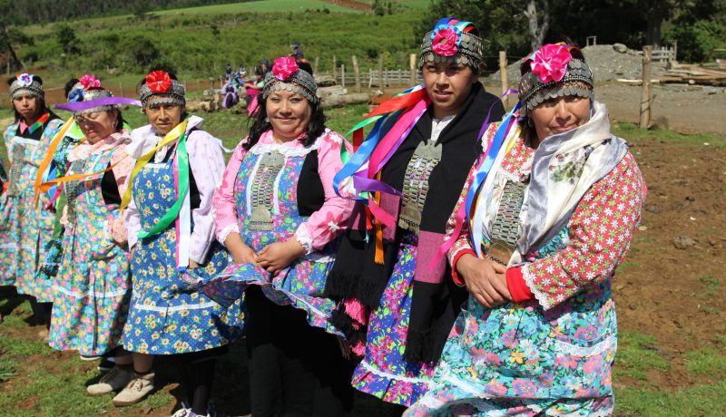 consulta-indigena-en-los-lagos-nuevo-sistema-de-tierras-mapuches